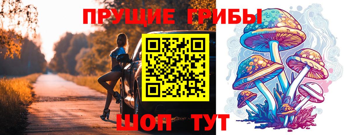Псилоцибиновые грибы Psilocybe Ростов Великий
